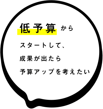 We want to start with a low budget and increase the budget when we see results.